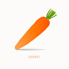 A Single Orange Carrot With Green Stems On A White Background With Subtle Shadows And A Word Title
