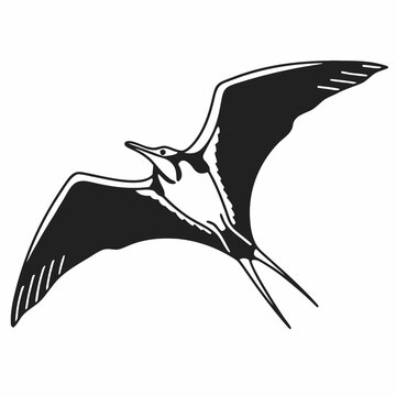 Valtrex silhouette on white background