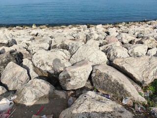 a collection of coral reefs as a seawater retaining wall