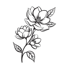 Fototapeta premium vector illustration of a flower