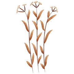 Watercolor brown Beige flower leaves