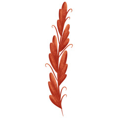 Watercolor red feather plant