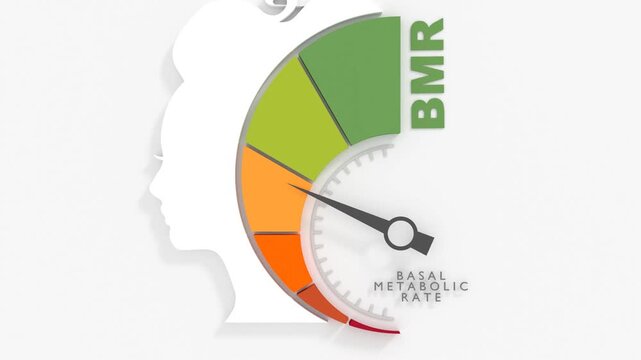 Basal Metabolic Rate. BMR Evaluation Tool . with Caloric Burn Rate Spectrum from Low to High. Female Head with Scale Meter.