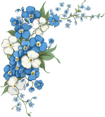 Corner decoration design with blue forget-me-not flowers and white flowers, vector illustration
