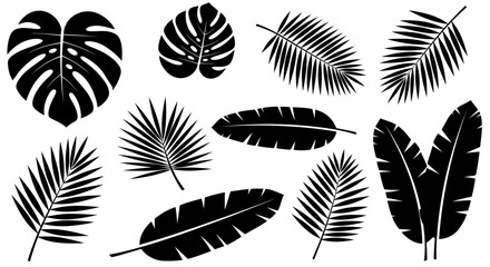 Vector art of collection of black silhouette tropical palm leaves, monstera, and banana leaves