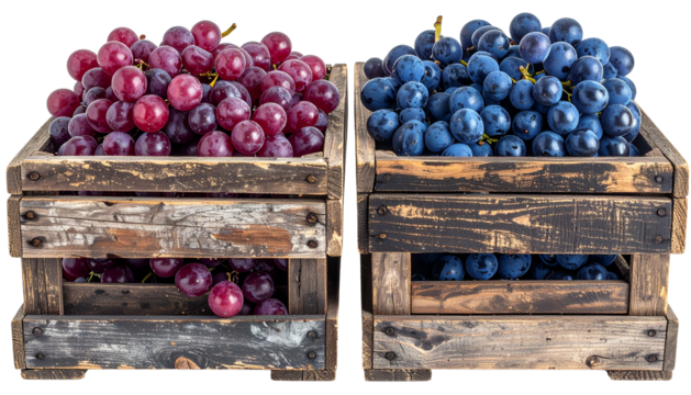 Two weathered wooden crates overflowing with ruby-red and deep-blue grapes - Powered by Adobe