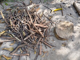 A pile of dry firewood and an old chopping board