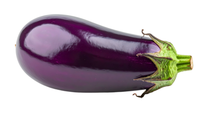 A vibrant, elongated eggplant fruit with a glossy purple skin and green stem