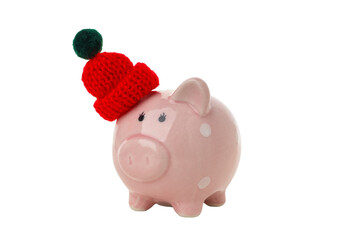 Winter piggy bank with knitted hat, isolated on white, PNG