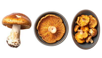 Assortment of mushrooms whole, underside view, and bowl of cut ones, on black background