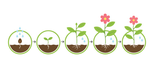 Paths that can be opened. Stroke that you can edit. Thickness that you can customize. The process of young plant life.
