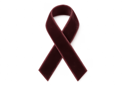 Maroon velvet awareness ribbon symbolizing support for various causes