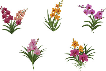 Orchid flower illustrations, colorful blossoms, tropical plants, botanical artwork, exotic floral design, decorative nature, blooming stems, garden beauty, elegant foliage, spring