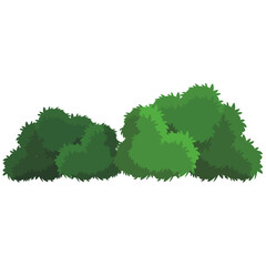 Bushes Vector