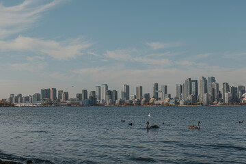 Modern city skyline across the water on a clear sunny day