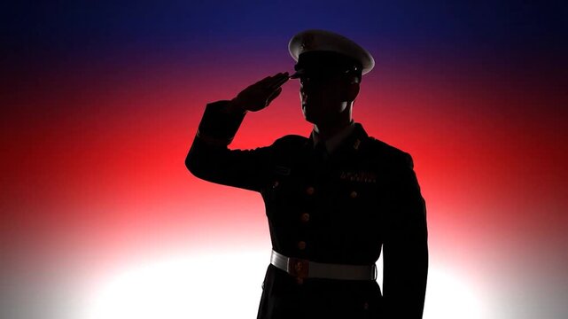 A silhouette of a military figure saluting against a gradient backdrop of red, white, and blue