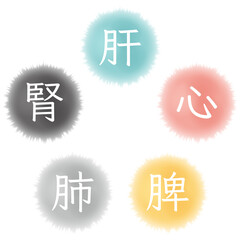 東洋医学の五臓