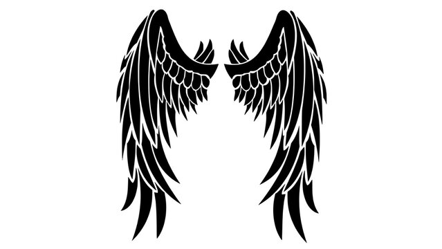 black and white wings