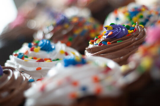 Birthday Cupcakes with Colorful Sprinkles