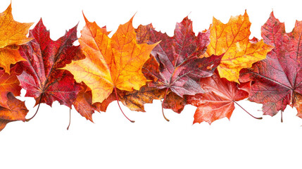 A colorful autumnal border of maple leaves in shades of orange, yellow, and red against a white background.