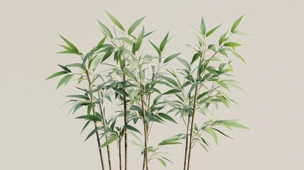 81.A realistic bamboo plant illustration showcasing multiple stalks with layered leaves, rich in texture and depth, perfect for nature-inspired design elements.