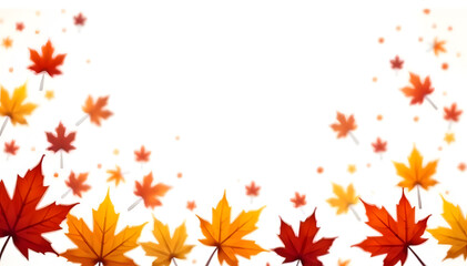 Fototapeta premium Colorful maple leaves against white background, autumn fall concept
