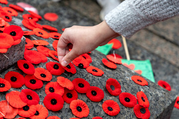 Remembrance Day in Canada. People placing poppy flowers on Tomb of the Unknown Soldier in Ottawa.