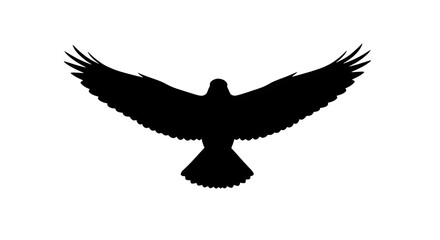 Fototapeta premium Abstract black bird of prey silhouette icon flying, symbolizing strength, freedom, and power. isolated PNG with Transparent Background