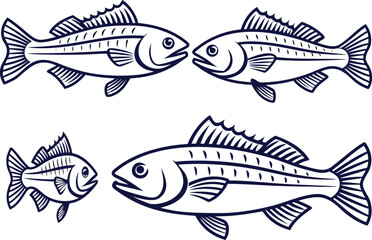 Bass Fish Icon Set. Freshwater Bass Fish Icons. Largemouth Bass Fish Collection. Bass Fish Outline Design. Fishing Bass Icon Pack. Sport Bass Fish Illustration. Realistic Bass Fish Silhouette Set