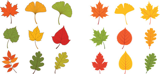 Hand-Drawn Autumn Leaves Collection Vector Set