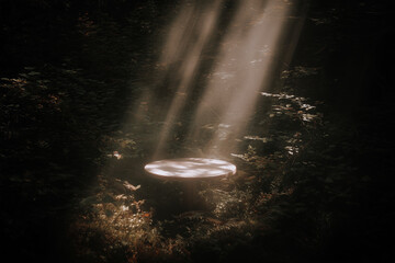 陽光のスポットライトに浮かび上がるテーブル