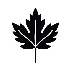 Water Celery Leaf Icon Vector Illustration