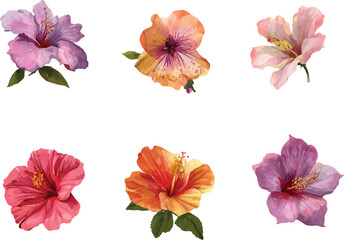 collage of flowers