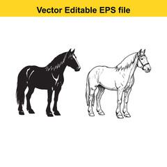 Fototapeta premium Vector art of two horses, one black silhouette and one detailed sketch, standing side by side
