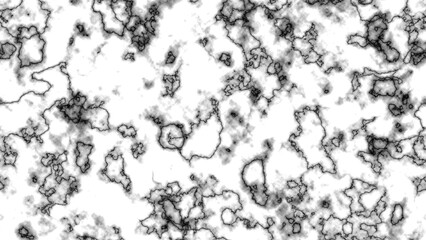 White marble with black veins texture