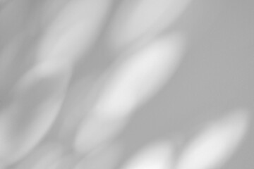 Wall interior background, studio and backdrops show products.with shadow from window color white and grey. background for text insertion and presentation product	
