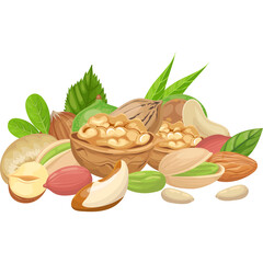 Assortment of Healthy Mixed Nuts Including Walnuts Cashews Almonds Pistachios and Brazil Nuts with Green Leaves on a Transparent Background