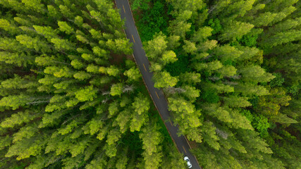 Aerial view of dark green forest road and white electric car Natural landscape and elevated roads Adventure travel and transportation and environmental protection concept	
