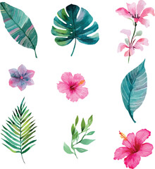 vector set Watercolor Tropical Botanical Collection