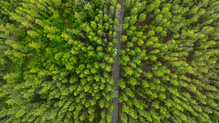 Aerial view of dark green forest road and white electric car Natural landscape and elevated roads Adventure travel and transportation and environmental protection concept	
