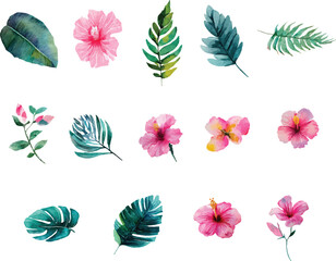 set of colorful floral elements