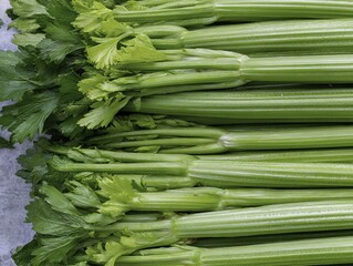 Fototapeta premium Fresh celery stalks with green leaves, neatly arranged