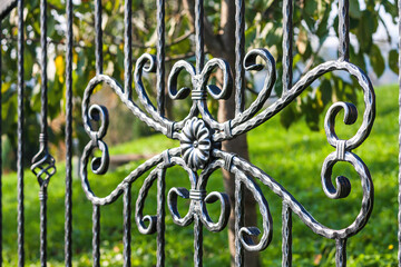 Ornamental Wrought Iron Fence. Metal Fence