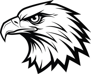 Obraz premium Eagle head bird animal wildlife predator beak feather strong powerful mascot