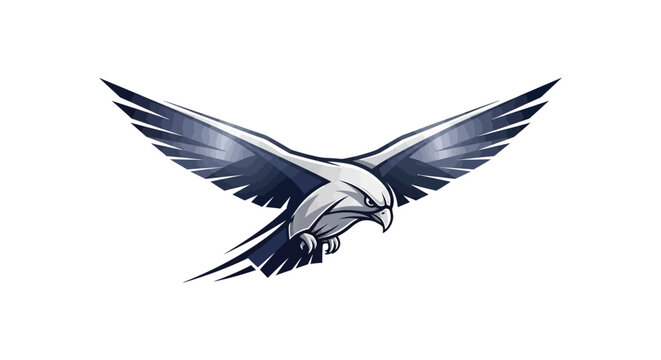 Eagle falcon bird animal predator hunter wildlife nature freedom flight wings sky