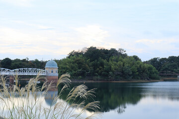 秋の湖とススキの風景