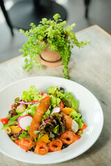 A vibrant and colorful fresh salad on a plate with greens and vegetables alongside plant. This photo conveys freshness and health, ready to eat