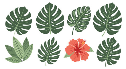 Tropical Foliage and Hibiscus Flower Collection.