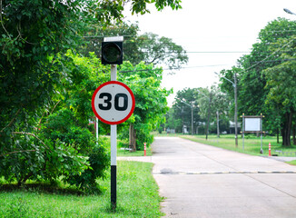 Green Forest Trees in Natural Park sunny atmosphere in autumn or late summer in forest landscape 