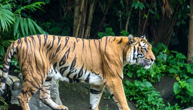 Striped wildcat in a jungle - Powered by Adobe